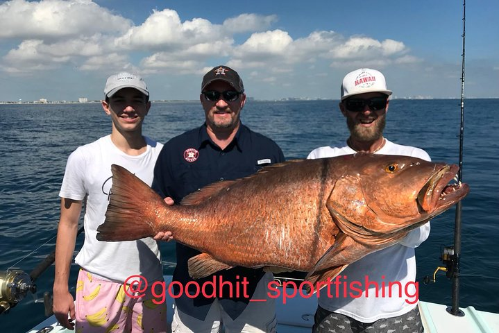Cubera Snapper 